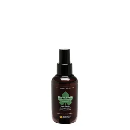 Biofficina Toscana Water Idrolato di Salvia 100ml