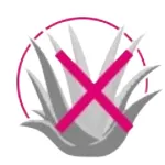 Sin aloe