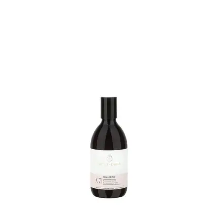 Holy Curls 01 Champú 300ml
